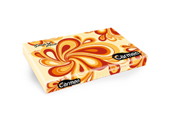 Facial Tissue - Smart Soft Pack